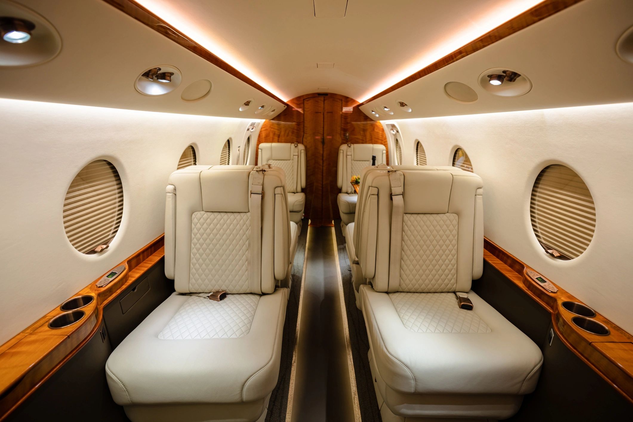 Private jet cabin representing international evacuation coordination
